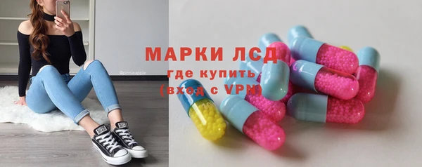 шишки Ельня