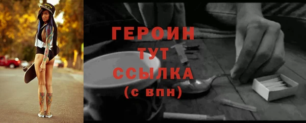 шишки Ельня